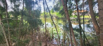 Freshwater canal lot!!! Are you looking to build your dream - photo 4