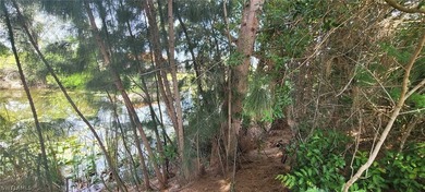 Freshwater canal lot!!! Are you looking to build your dream - photo 5