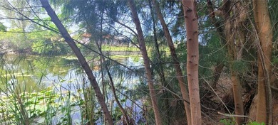 Freshwater canal lot!!! Are you looking to build your dream - photo 6