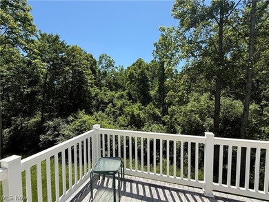 Being Sold TURNKEY! When you walk through the front door your - photo 29