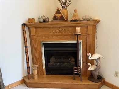 Being Sold TURNKEY! When you walk through the front door your - photo 36
