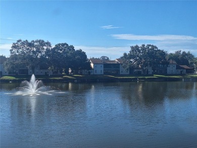 Lake Conley Condo For Sale in Holiday Florida