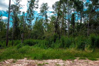 Savannah River Lot For Sale in Clarks Hill South Carolina