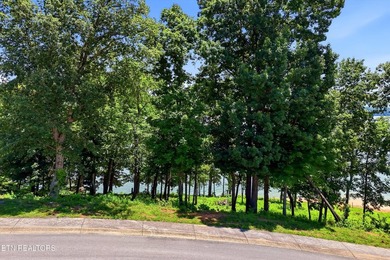 Rare lakefront opportunity on beautiful Douglas Lake! Build your - photo 2