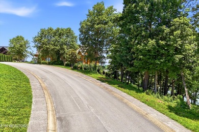 Rare lakefront opportunity on beautiful Douglas Lake! Build your - photo 3
