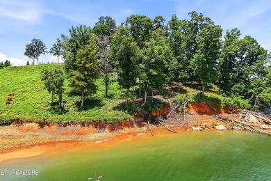 Rare lakefront opportunity on beautiful Douglas Lake! Build your - photo 5