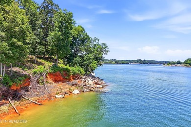 Rare lakefront opportunity on beautiful Douglas Lake! Build your - photo 6