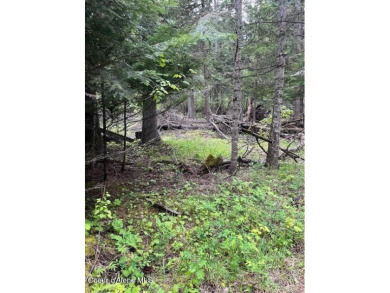 Lake Pend Oreille Lot For Sale in Bayview Idaho