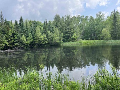 (private lake, pond, creek) Acreage For Sale in Lowell Vermont