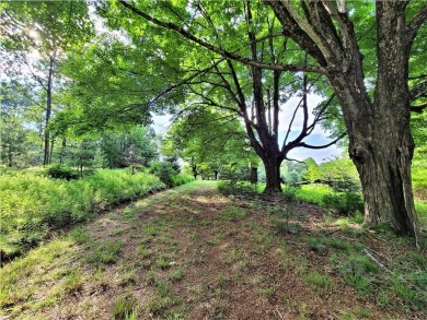 Lake Acreage For Sale in White Lake, New York