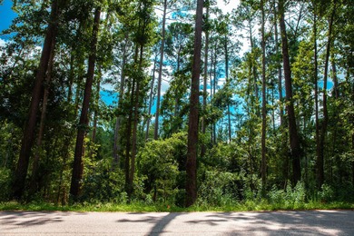Savannah River Lot For Sale in Clarks Hill South Carolina