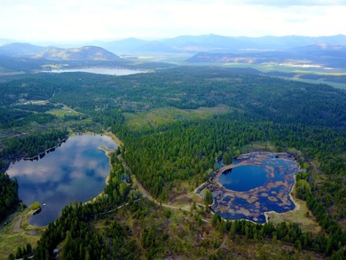 53.21 Acres. This ultra secluded parcel has it's own 5+ acre - photo 3