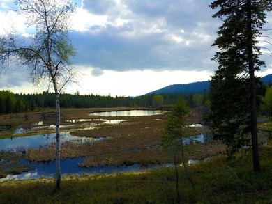 53.21 Acres. This ultra secluded parcel has it's own 5+ acre - photo 4