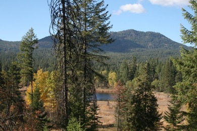 53.21 Acres. This ultra secluded parcel has it's own 5+ acre - photo 7