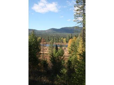 53.21 Acres. This ultra secluded parcel has it's own 5+ acre - photo 8