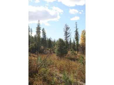 53.21 Acres. This ultra secluded parcel has it's own 5+ acre - photo 9