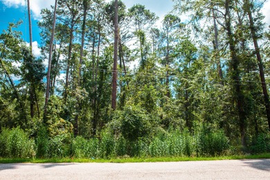 Savannah River Lot For Sale in Clarks Hill South Carolina