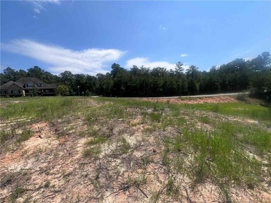 Cleared Lot with waterfront views in beautiful Stillwater - photo 3