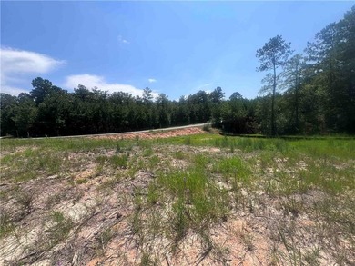Cleared Lot with waterfront views in beautiful Stillwater - photo 4