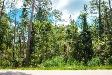 Savannah River Lot For Sale in Clarks Hill South Carolina
