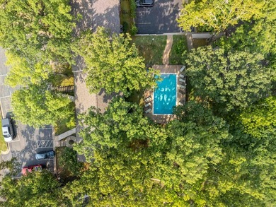 Lake Hamilton Condo with view and access. Start your mornings - photo 31