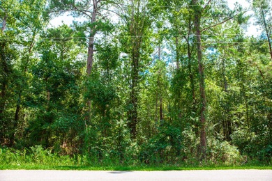 Savannah River Lot For Sale in Clarks Hill South Carolina