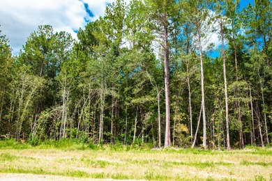 Savannah River Lot Sale Pending in Clarks Hill South Carolina