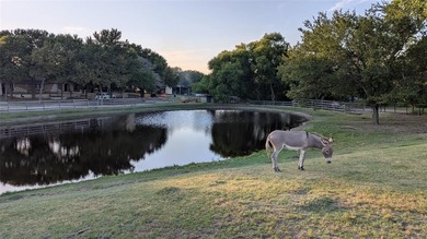 Lake Lavon Home For Sale in Nevada Texas