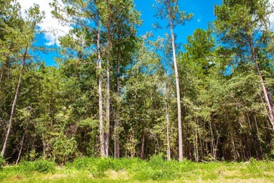 Savannah River Lot For Sale in Clarks Hill South Carolina