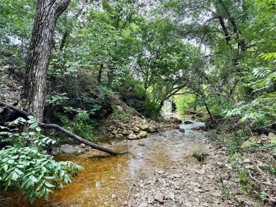 Lake Acreage For Sale in Gainesville, Texas