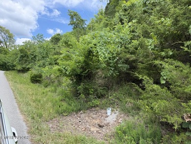 Embrace the potential of stellar Long Range Norris Lake & Mtn - photo 11