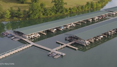 Embrace the potential of stellar Long Range Norris Lake & Mtn - photo 31