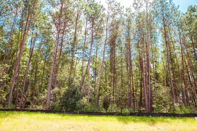 Savannah River Lot For Sale in Clarks Hill South Carolina