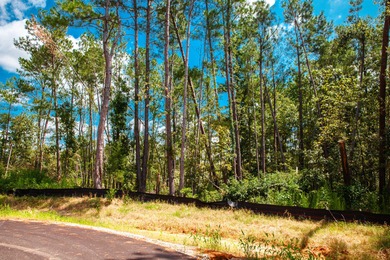 Savannah River Lot For Sale in Clarks Hill South Carolina