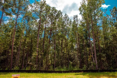 Savannah River Lot Sale Pending in Clarks Hill South Carolina