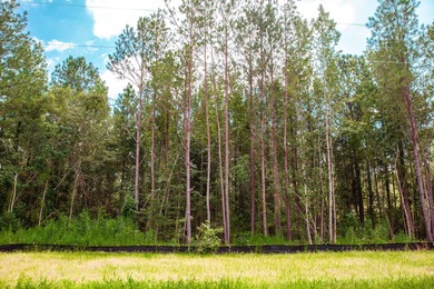 Savannah River Lot For Sale in Clarks Hill South Carolina