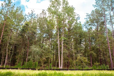 Savannah River Lot Sale Pending in Clarks Hill South Carolina