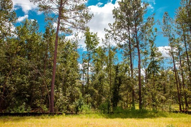 Savannah River Lot Sale Pending in Clarks Hill South Carolina