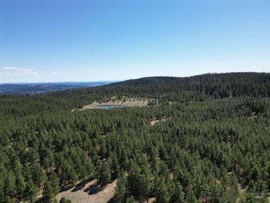 Dworshak Reservoir Home For Sale in Lenore Idaho
