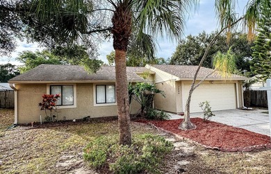 Lake Tarpon Home For Sale in Palm Harbor Florida