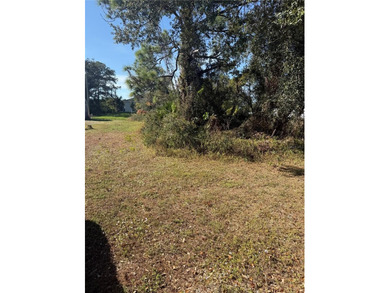 Lehigh Acres Area Lot For Sale in Lehigh Acres Florida