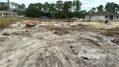 Lehigh Acres Area Lot For Sale in Lehigh Acres Florida