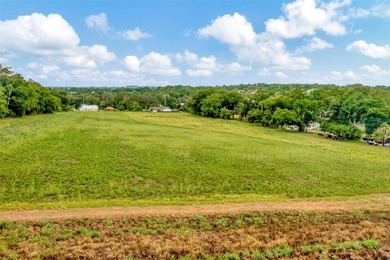 This is an opportunity to own a beautiful, high and dry 10 - photo 4