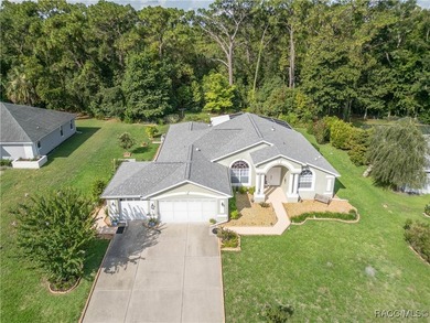 Lifestyle + Hobby + Florida Entertaining Custom Built by Van - photo 4
