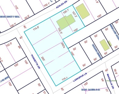 Incredible build opportunity in the coastal community of Bay St - photo 2