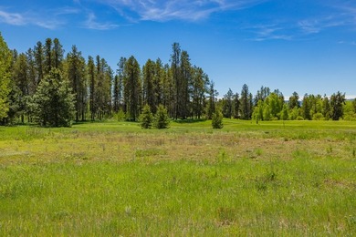Build your dream home on a premium golf course lot with - photo 13