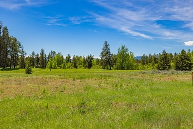Build your dream home on a premium golf course lot with - photo 14