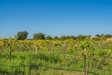 In the heart of the Texas Hill Country Wine Trail, this - photo 19