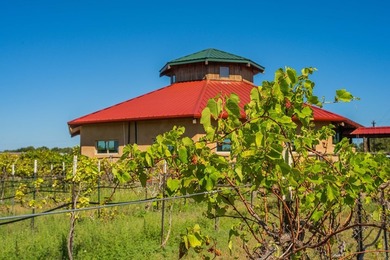 In the heart of the Texas Hill Country Wine Trail, this - photo 20