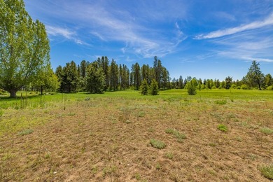 Build your dream home on a premium golf course lot with - photo 20